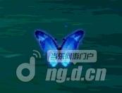 图7海蓝晶蝶.jpg